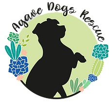 Click here to see how you can support Agave Dogs Rescue, based in Beavercreek, Oregon. This is where we recently adopted our beloved Memphis.